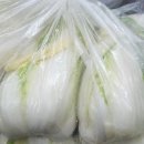 해남운수(주)노동조합 | 아르뫼농장 해남 절임배추 덕분에 김장 성공기, 이젠 두렵지 않아요!