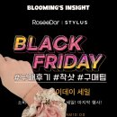 골든듀 로제도르 스타일러스 블랙프라이데이 세일 행사, 11/13~11/18, 구매 후기 착용샷