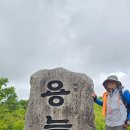 대암산 용늪 탐방 후기: 4,500년의 시간을 간직한 람사르 습지 등산 코스(서흥리 코스)