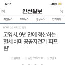 고양시, 9년 만에 청산하는 혈세 하마 공공자전거 &#39;피프틴&#39; 이미지