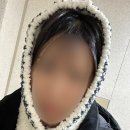 퍼피테일 이미지