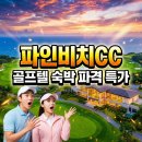 땅끝힐링하우스 | 놓치면 후회! 파인비치CC 1박2일 골프텔, 대한민국 10대 코스 특별 할인 예약!