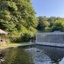 나른 스테이 | 강릉 스테이그레이 나른하게 숙소 후기 추천