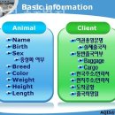 송파원동물병원 | 송파동 동물병원 송파원 동물병원 위치 오는길 후기