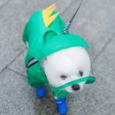 378 이미지