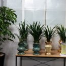 화목행정사 이미지