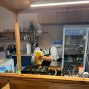 맥켄지커피 충남도청점 | 내포카페 맥켄지커피 충남도청점 토피넛라떼 아이스아메리카노 붕어빵