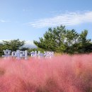 휴애리 이미지
