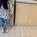 플롱 이미지