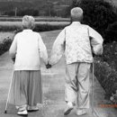 가정지천 이미지