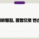 빅베어바벨짐 티스토리