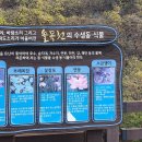 화순리 지석묘 이미지