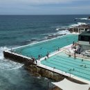 (주)투스덴탈 | 호주 시드니 여행 코스탈워크 쿠지비치 본다이비치 트레킹 도중 포기한 후기