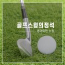 올바른골프연습장 이미지