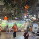 이레목장 | [아기랑 갈만한곳]인천실내동물원 쥬벅스 후기 / 인천 실내데이트장소 추천