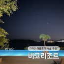 비고리조트 10 네이버블로그