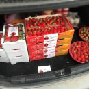 정명진농장 이미지