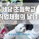 세담초등학교 이미지