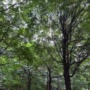 독산공원 이미지