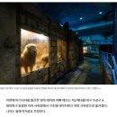 늑대와여우P.C방 | 동물에 관심 많은 34개월 아이를 위한 국내 동물원 투어(대구 네이처파크, 전주동물원, 청주동물원)
