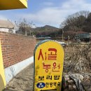 시골집오리농원 | 보리밥을 주문하면 9가지 나물에 제육볶음까지? 광교산러버의 최애 보리밥집 시골농원