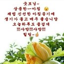 ○간추린 뉴스 ○ 이미지