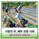 영흥농장 이미지