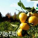 청림한의원 이미지