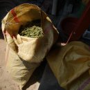 지리산골짝 이미지