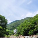 정자나무농원 이미지