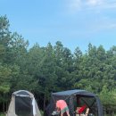 기린 캠프랜드 이미지