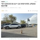 "여기 진짜 한국 맞나요?" 도로 위에 '미어캣', 산책로엔 '왕도마뱀' 이미지