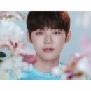 연준필름