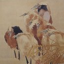 부용골농장 | 백로 양산천 황로 밀양벌판에서 만나다