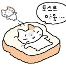 불닭발땡초동대문엽기떡볶이용인 이미지
