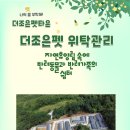 도그아일랜드 이미지