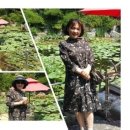 세마오리농원 이미지