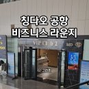 산동푸드 | 중국 청도 칭다오 공항 비즈니스 라운지 면세점 산동항공 후기