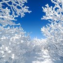 수원역 새마을금고 앞 이미지