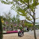 모두다 생활용품 | 용인 나들이 용인자작나무숲, 한알abm생활용품, 신갈수지합동양조장 솔직후기