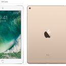 (주)파란고래 이미지