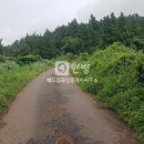 해드림부동산공인중개사무소 이미지