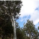 백송농장 이미지