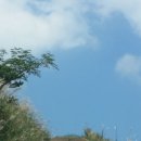 햇사레목장 이미지