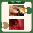 누리녹즙