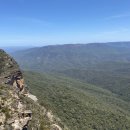 블루마운틴 이미지