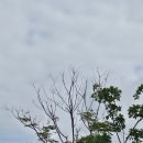 기지 | 5박6일 청두여행 2일차 - 청두판다기지 후기