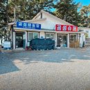 곰섬하우스 | 태안 캠핑장 추천 | 소나무 숲과 해변이 어우러진 곰섬캠핑장 총정리