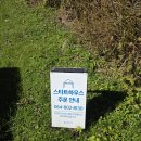 (주)대승에코그린 | 제주도 노캐디 대표 골프장 에코랜드cc 라운딩 후기