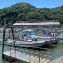 부흥팜 | 구마모토 이색 여행 나가베타해상로 일몰명소 추천